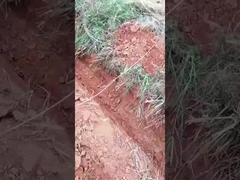 0.6 toneladas 0,8 toneladas Mini Excavadora de rastreo Pequeña microexcavadora